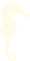 ico02 1