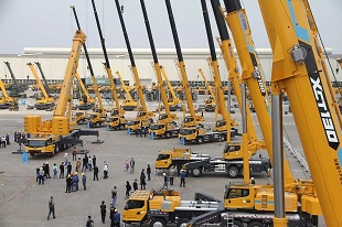 Cranes 310