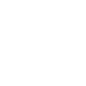 shturval